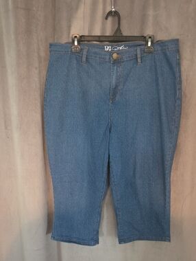 DG2 by Diane Gilman Size 16W Blue Pinstripe Capri Jean Shorts
